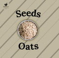 Punjabi Suad™ Seeds Oats  500g